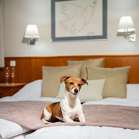 Snezka 4* Spindleruv Mlyn