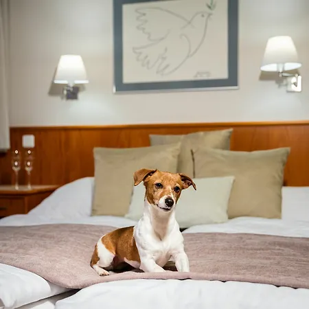 Snezka Otel 4*