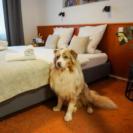 Snezka 4* Špindlerŭv Mlýn