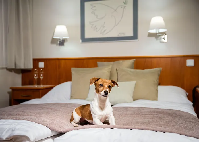 Snezka 4* Špindlerŭv Mlýn