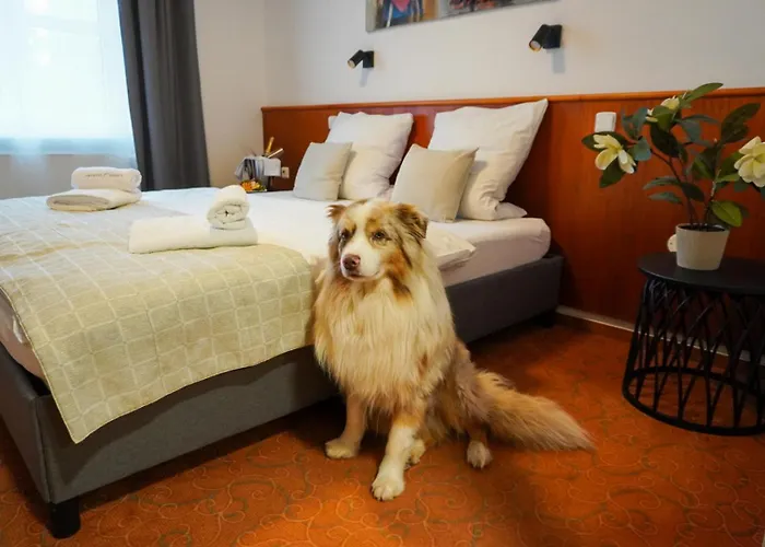 Snezka 4* Špindlerŭv Mlýn